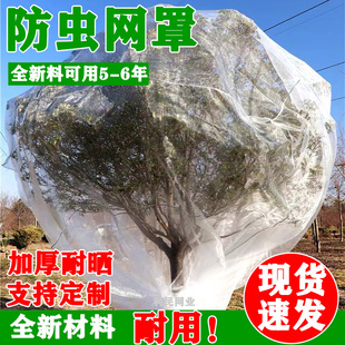 果树防虫网罩防蚊网樱桃杨梅果园防柳絮网防鸟抗老化加厚网罩纱网
