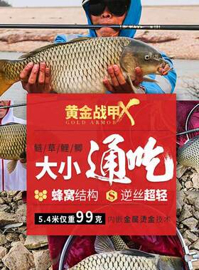 日本进口碳素超轻超硬28调台钓竿