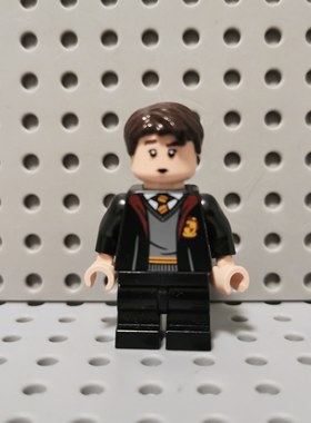 LEGO乐高 哈利波特人仔 hp330 纳威·隆巴顿 76397