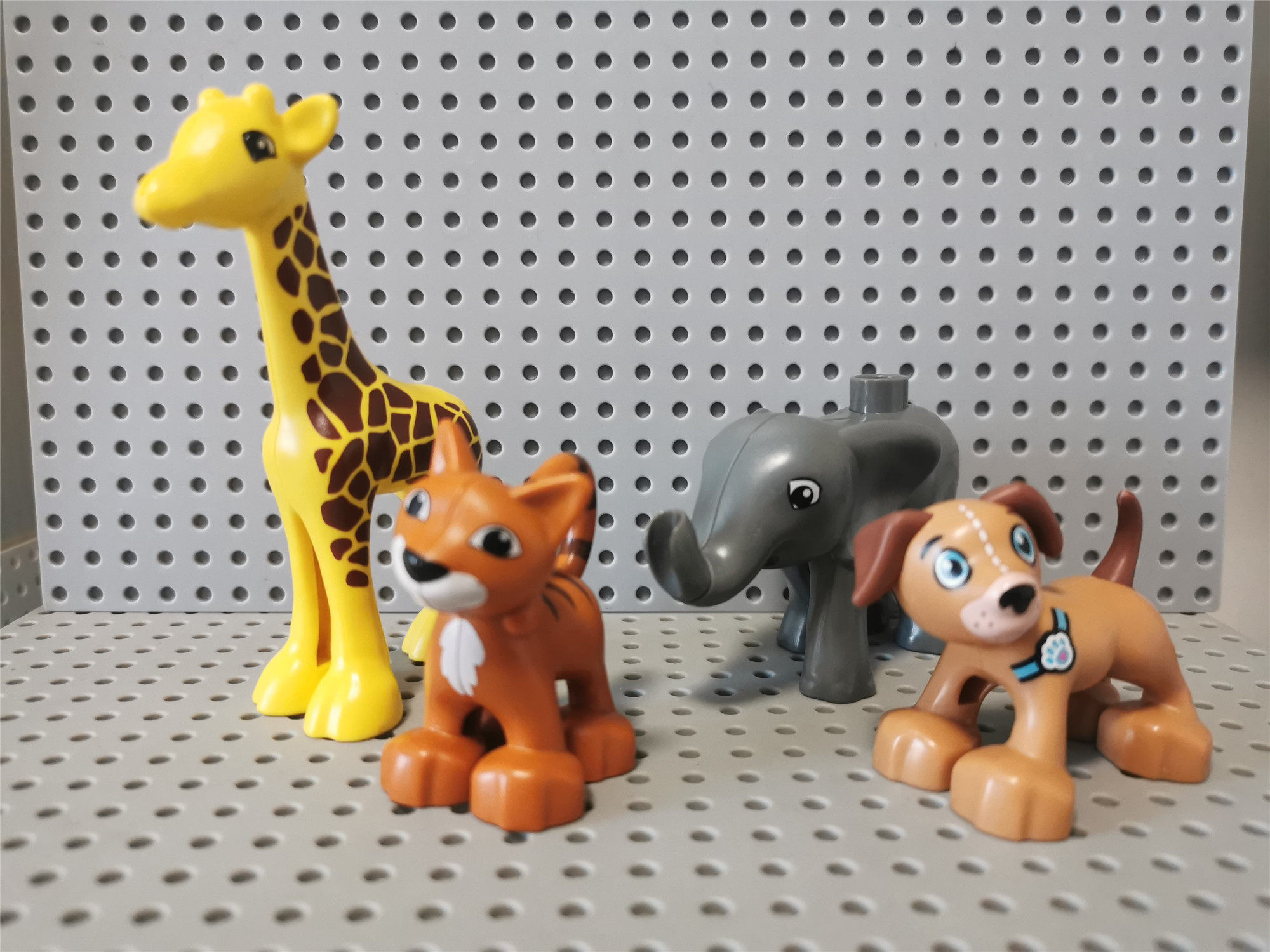 乐高 Duplo得宝 动物 小象 长颈鹿 猫 狗 LEGO零件