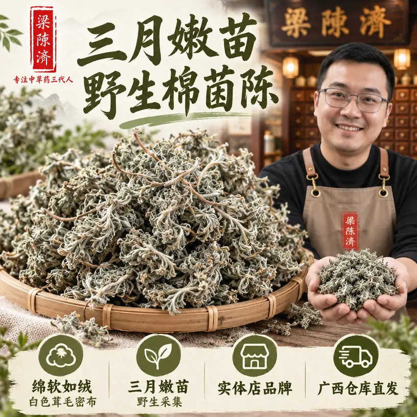 野生棉茵陈500g新货泡茶包邮