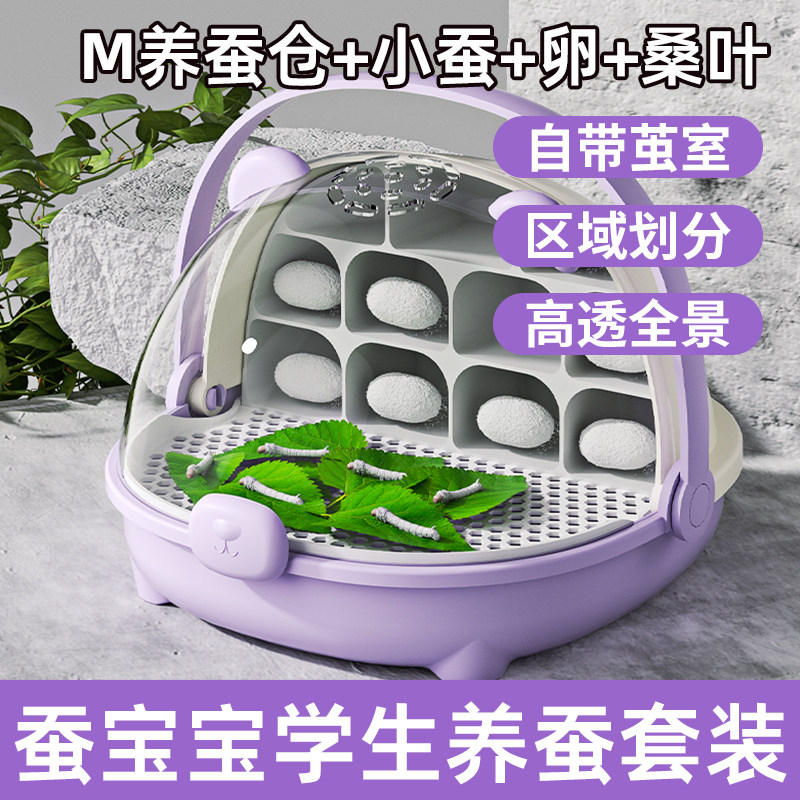 M养蚕舱蚕宝宝养育仓活物蚕宝宝123龄别墅饲养箱学生课程养蚕套装