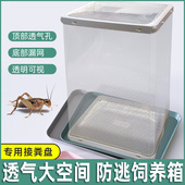 爬宠A3饲养盒透明组装 蛐蛐防逃饲养盒 盒透气漏粪便面包虫杜比亚