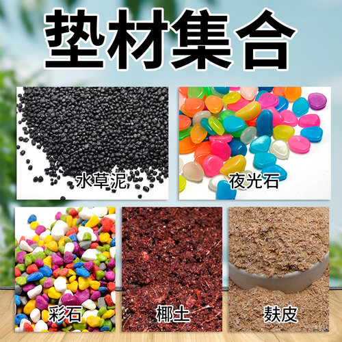 爬虫陆龟蜗牛蜘蛛垫材