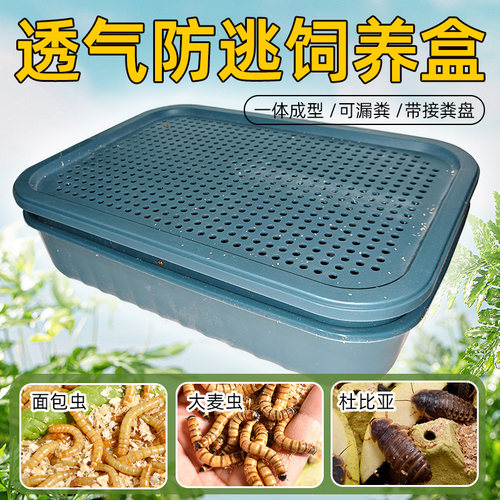面包虫大麦虫杜比亚滤屎饲养箱防臭防潮饲养盒筛选粪便养殖盒活虫
