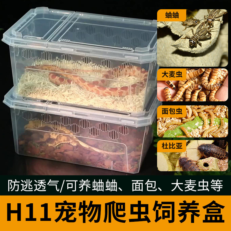 H11宠物爬虫饲养箱蜘蛛守宫蜥蜴蝎子角蛙蜈蚣塑料乌龟幼体饲养盒