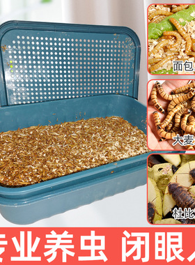 面包虫大麦虫杜比亚滤屎饲养箱防臭防潮饲养盒筛选粪便养殖盒活虫