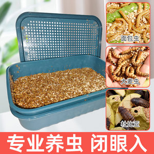 透气干燥不死虫启质带接粪盘