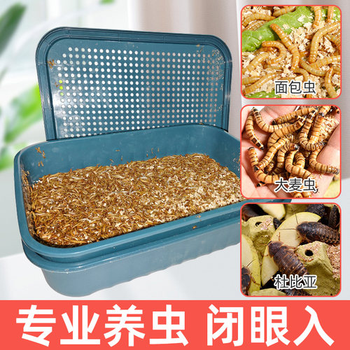 透气干燥不死虫启质带接粪盘