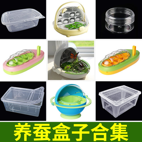 学生养蚕蚕宝宝北京发货