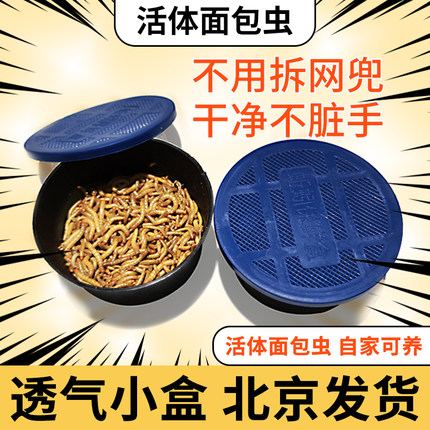 透气小盒发货面包虫黄粉虫活体蜘蛛蝎子乌龟守宫角蛙鸟活饵饲料