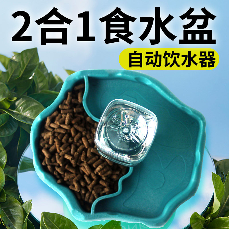 诺摩塑料NW-28带水瓶自动水盆爬宠守宫龟蜥蜴蛇角蛙二合一水食盆
