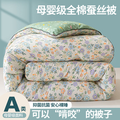 正品蚕丝被100%桑蚕丝被子冬被加厚保暖全棉棉被春秋冬季10斤被芯