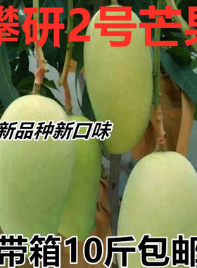 攀枝花芒果二号椰香当季新鲜特色