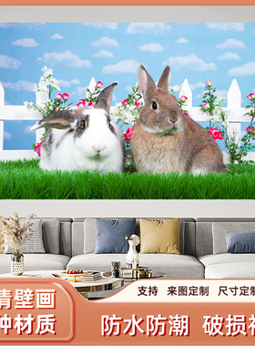 兔子招财兔吉祥如意兔卧室装饰贴画草丛里两只可爱的小兔子自粘画