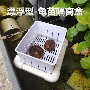 乌龟苗隔离盒多功能塑料龟箱分开养殖盒鱼缸热带鱼孵化盒饲养盒