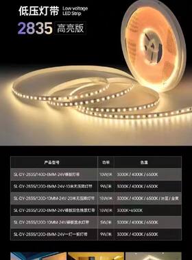 世林照明低压裸板灯带24V 变压器24V