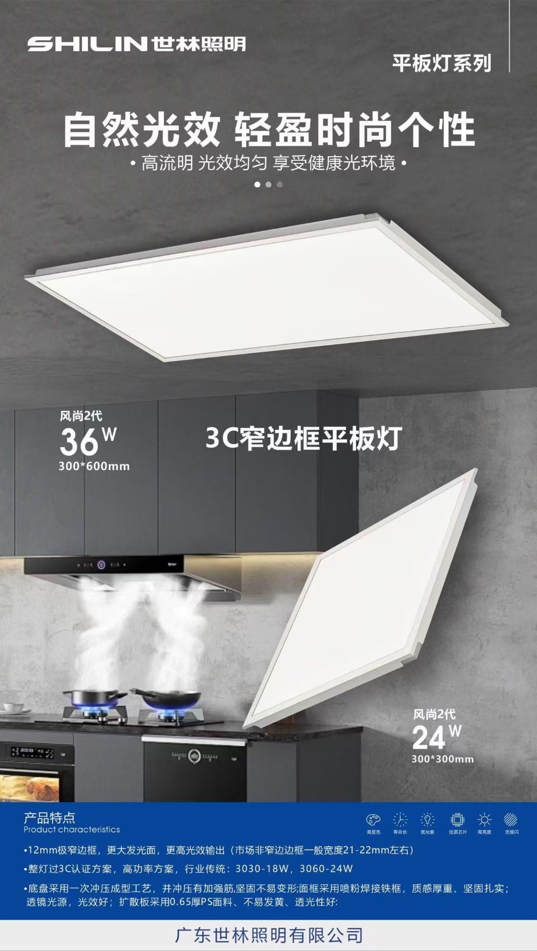 广东世林照明led集成平板面板灯30卫生间30x60厨房60x60办公照明图片