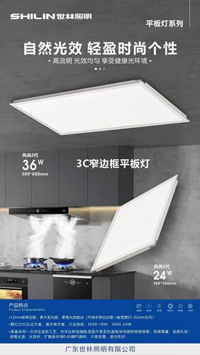 广东世林照明led集成平板面板灯30卫生间30x60厨房60x60办公照明