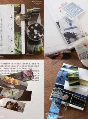 浮光分装 APeachHoney胶带合集 摄影图片文字写实手帐拼贴