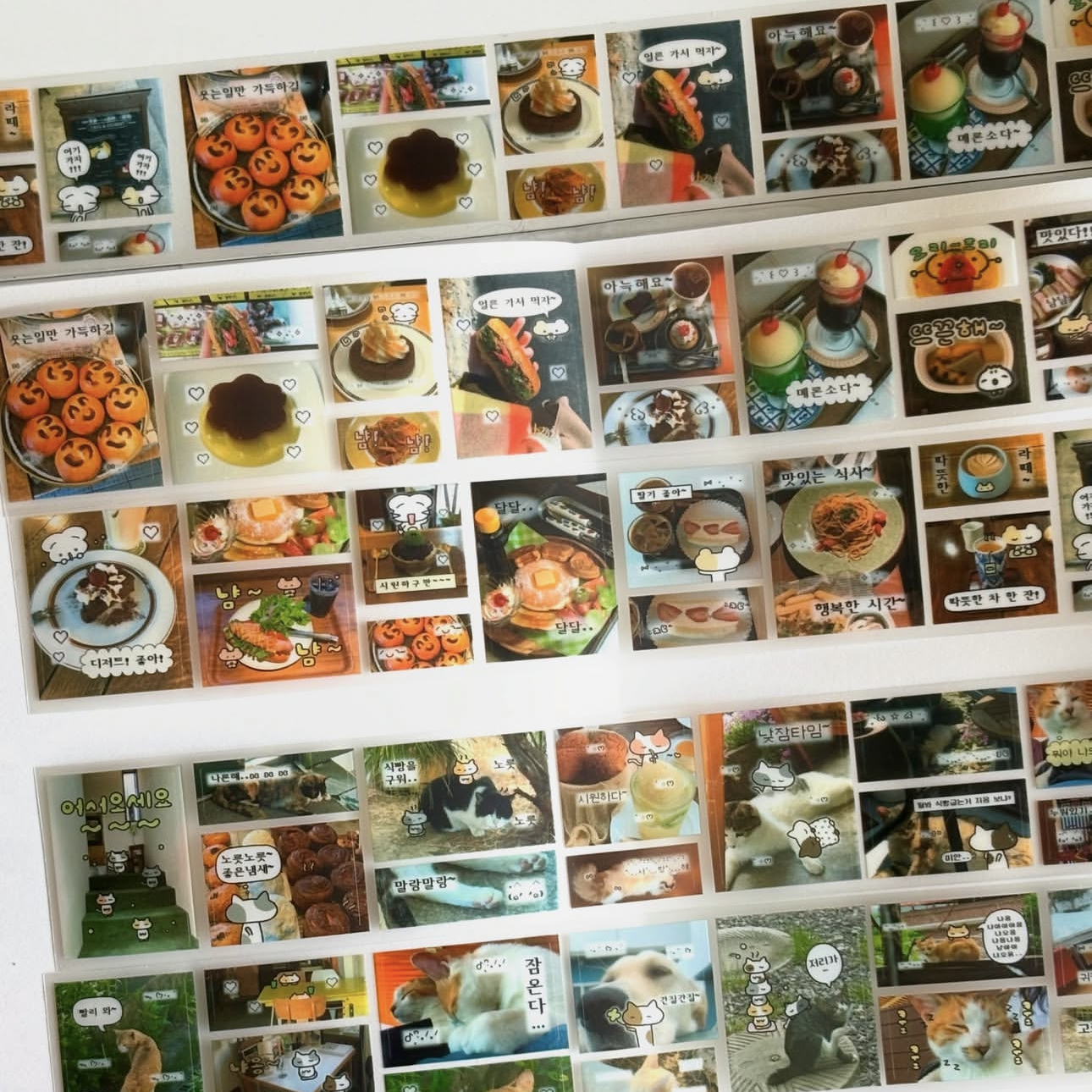 浮光分装 小动物和好ci的！韩国hyunghwa 摄影图片和日常记录