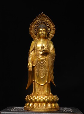 独特收藏精品纯铜浮雕鎏金带背光站莲花宝座阿弥陀佛大摆件