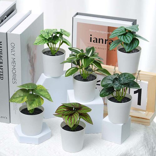 仿真植物家居迷你小盆栽绿植假