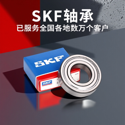 斯凯孚SKF进口轴承62016202