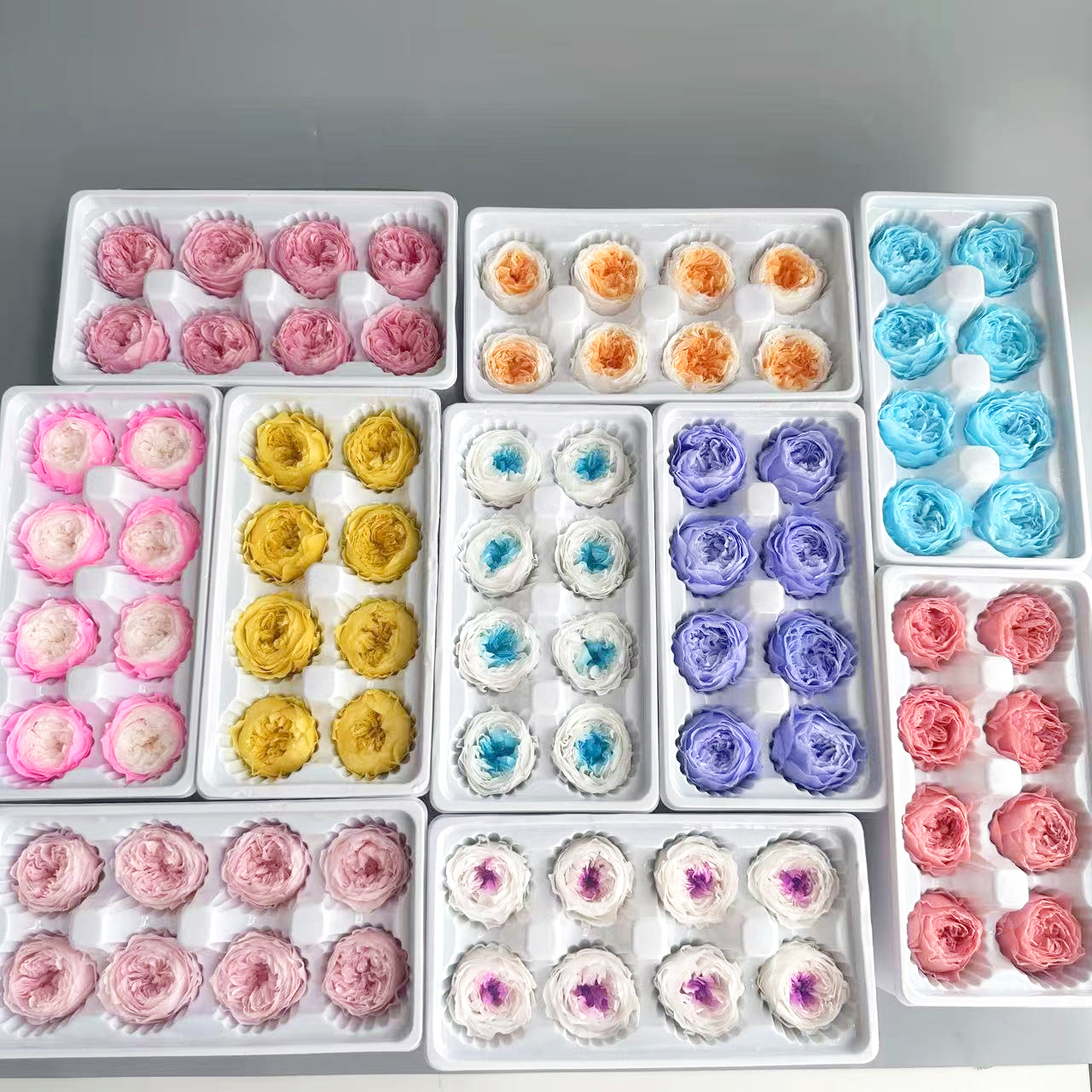 干花永生花4-5cm蝴蝶奥斯汀玫瑰花渐变纯色礼盒装过节日高级