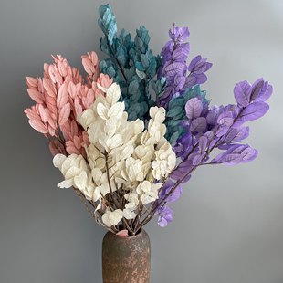 黄金叶永生花栗树叶干花植物ins家居装饰diy材料包云南跨境