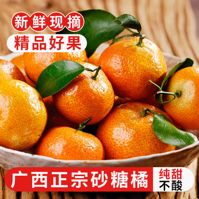 正宗广西砂糖橘纯甜多汁丨包甜