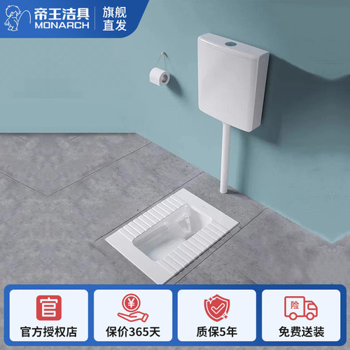 帝王洁具SP001蹲便器蹲坑式水箱防臭便池盆家用厕所墙排式大便器
