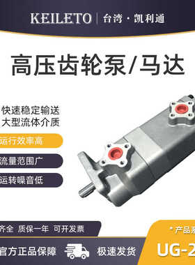 双联齿轮泵UG-22A-F22R/F33R/F44R/F55R/F66R/F88R/F99R/F11R/12R