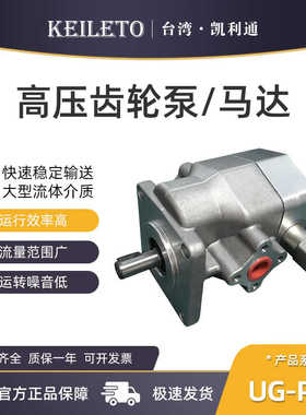 液压齿轮泵UG-PR1-020/030/040/050/060/080/090/010/011/012油泵