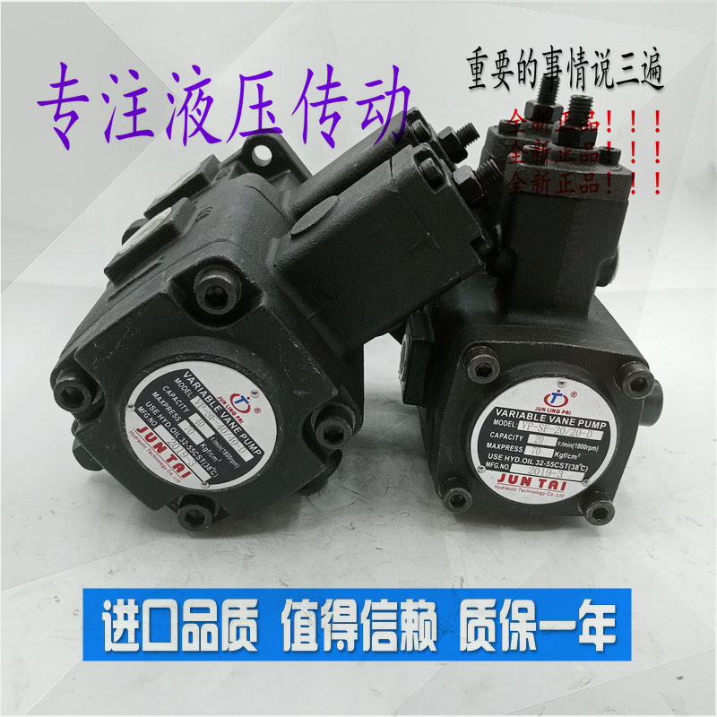 VP-DF-12D/12D VP-DF-20D/20D VP-DF-30D/30D 40俊泰JUNTAI双联泵