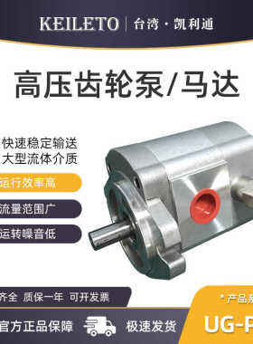 高压齿轮泵UG-PR3-8R/11R/14R/17R/19R/23R/25R/28R/30R液压油泵