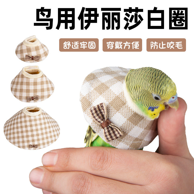 我和它跨境玄风牡丹鸟用伊丽莎白圈防咬啄毛受伤保护项圈鹦鹉脖套