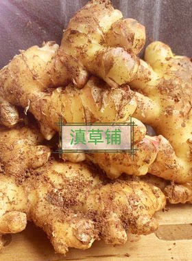 云南新鲜正宗本地小黄姜农家自种批发干姜仔姜嫩姜大姜老生姜姜片
