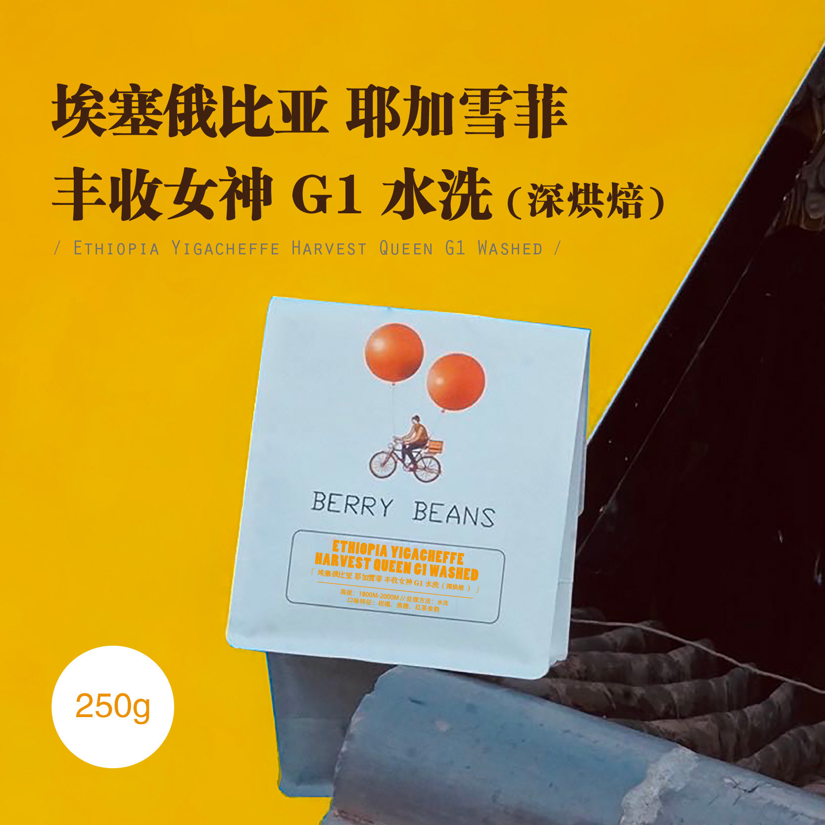 berry beans  / 埃塞俄比亚 耶加雪菲 丰收女神 g1 水洗 深烘焙