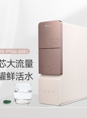 格力 GREE 净水器家用净水机反渗透厨下过滤400G WTE-PT60-2051