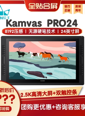 HUION/绘王Kamvas Pro24数位屏电脑绘画屏手写屏手绘屏液晶绘图板