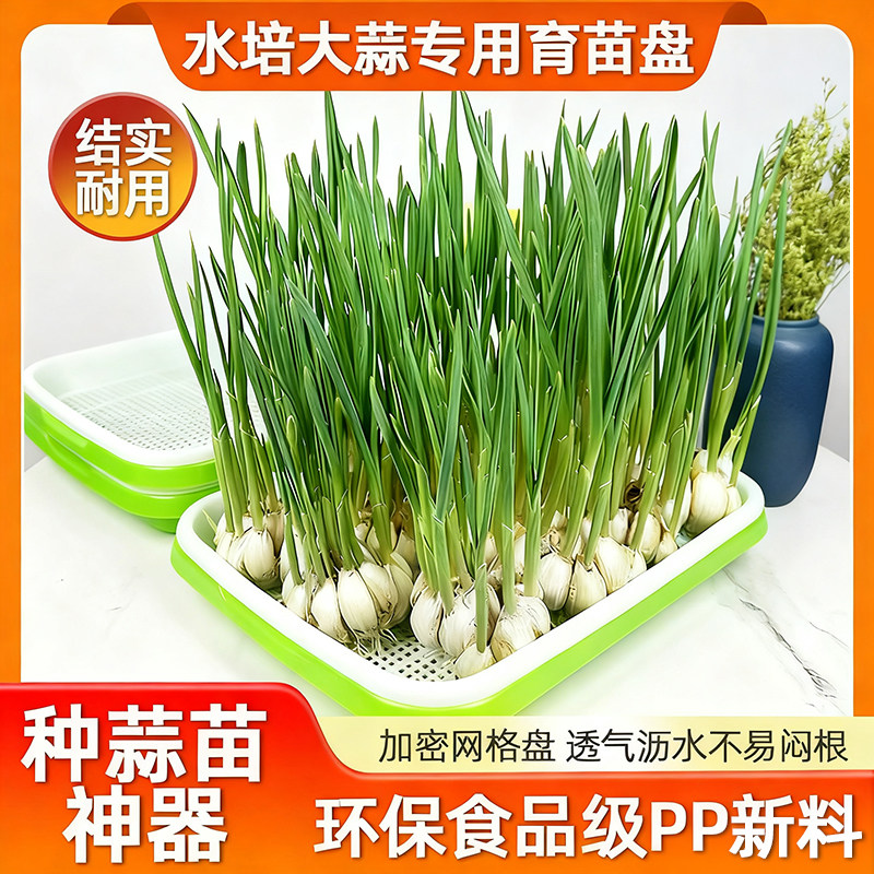 蒜苗种植盆蒜黄专用育苗托盘芽苗菜豌豆苗发豆芽种蒜神器水培器皿,鲜花速递/花卉仿真/绿植园艺,育苗盘/营养钵,淘宝优惠券,粉丝福利购,淘宝优惠卷