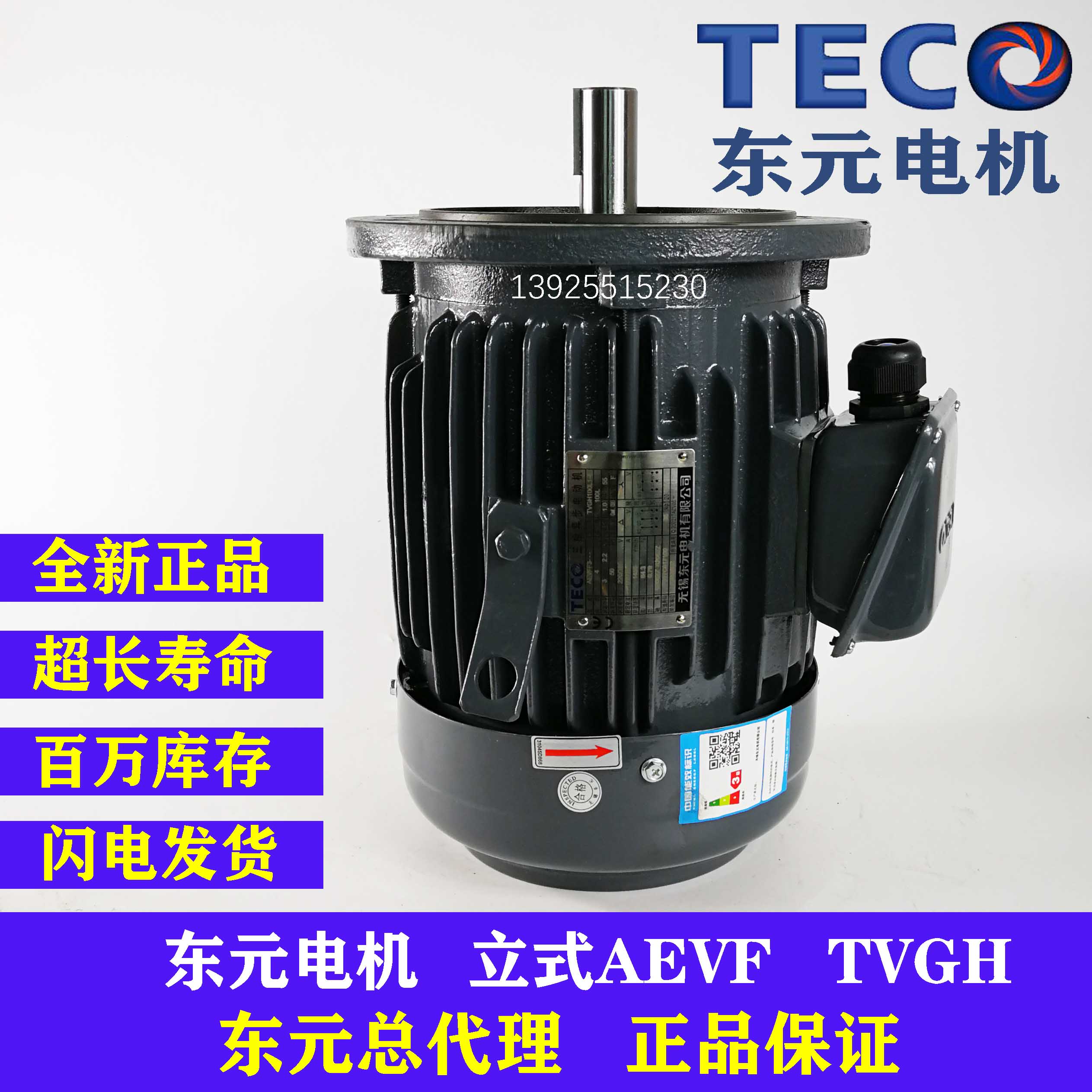 TECO台湾东元电机2.2 3.7KW 5.5 7.5KW立式AEVF TVGH刹车制动马达 五金/工具 电动机 原图主图