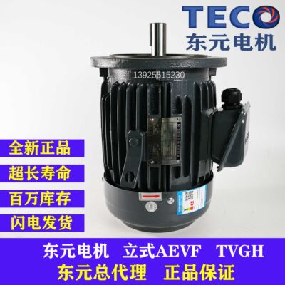 TECO东台湾元电机2.2 3.7KW 5.5 7.5KW立式AEVF TVGH刹车制动马达