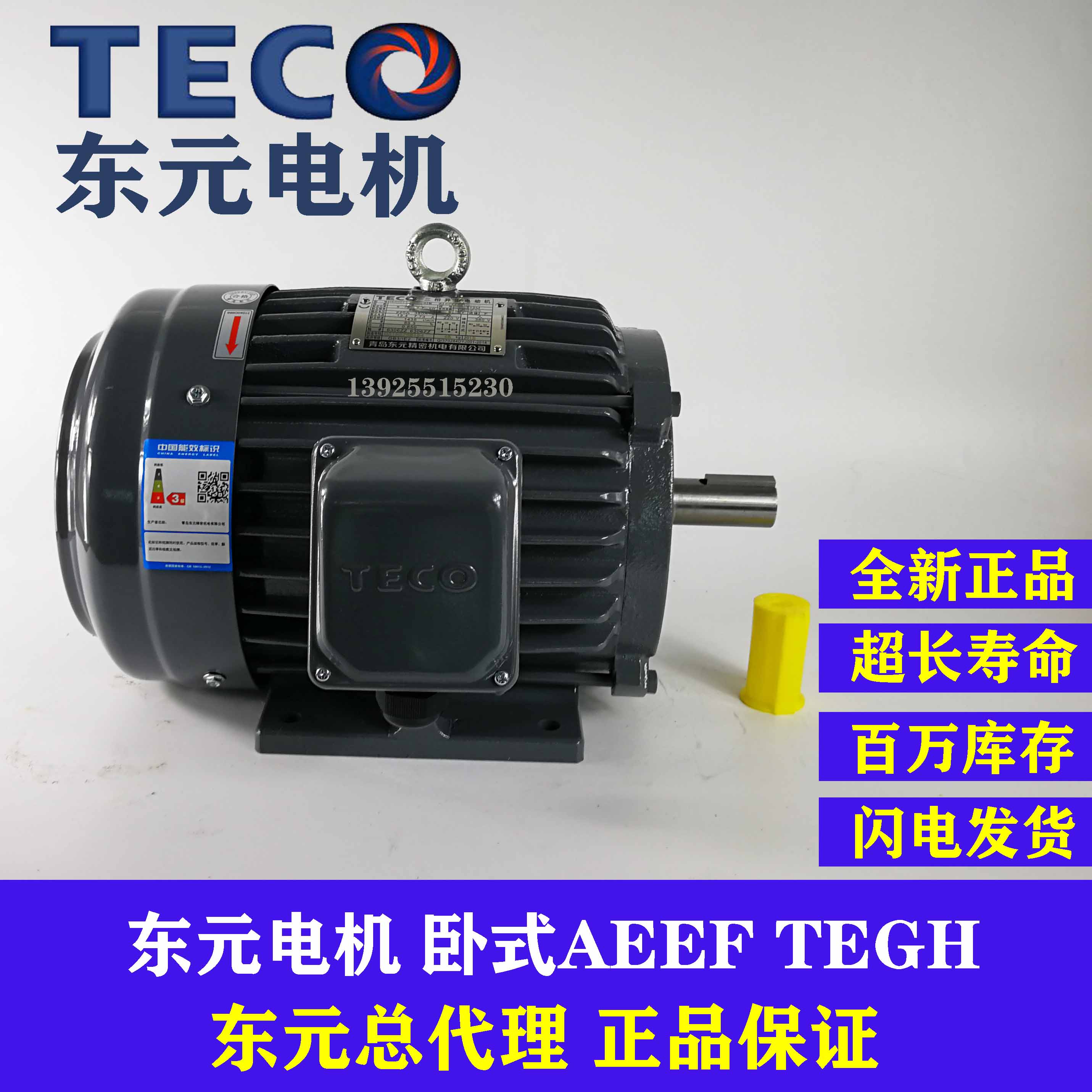 TECO东元电机2.2KW 3.7KW 5.5KW 7.5KW卧式AEEF TEGH制动刹车马达