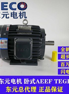TECO东元电机2.2KW 3.7KW 5.5KW 7.5KW卧式AEEF TEGH制动刹车马达