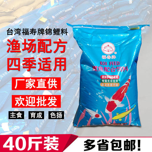 台湾福寿漂浮锦鲤鱼金鱼观赏鱼