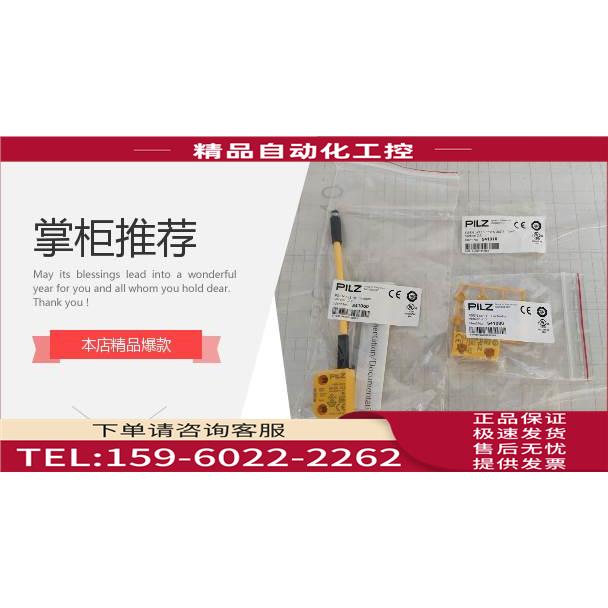 Senex森纳士压力开关 DG1300-BZ-A-2-20/CJ/AF/FY 【议价】