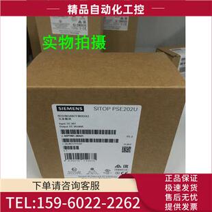 200PA 6ES7650 1AA0ET 电位隔离 议价 数字输入 8DK80 SMART