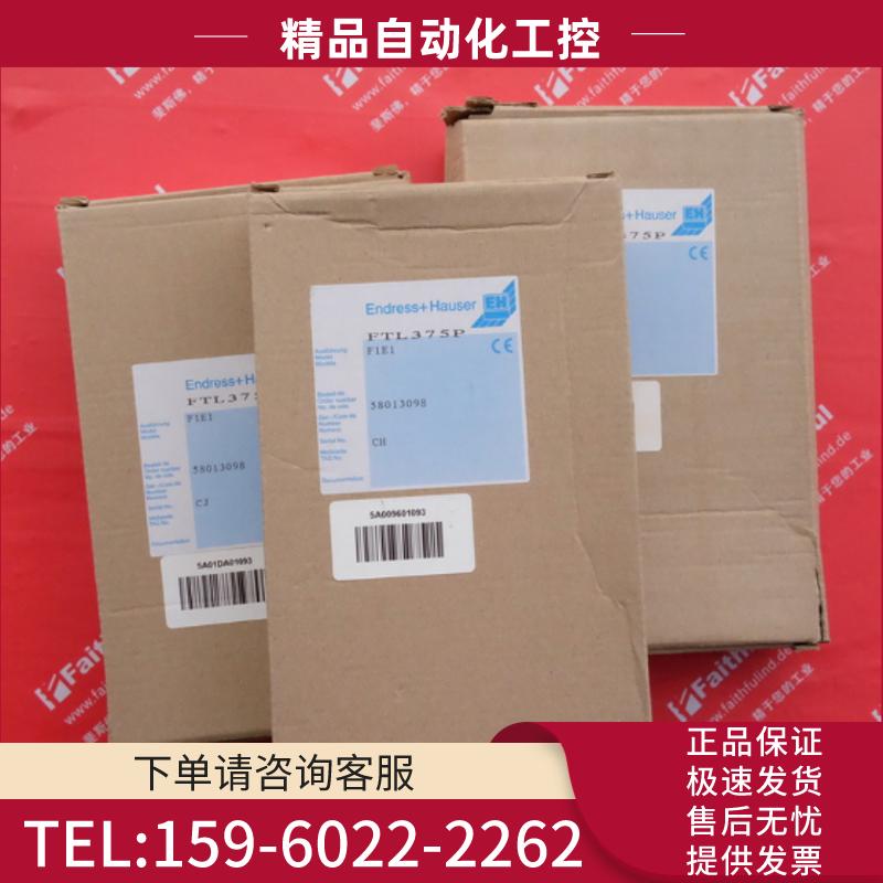 E+H FTL375P-F1E1 恩德斯豪斯全新液位检测 nivotseter【议价】